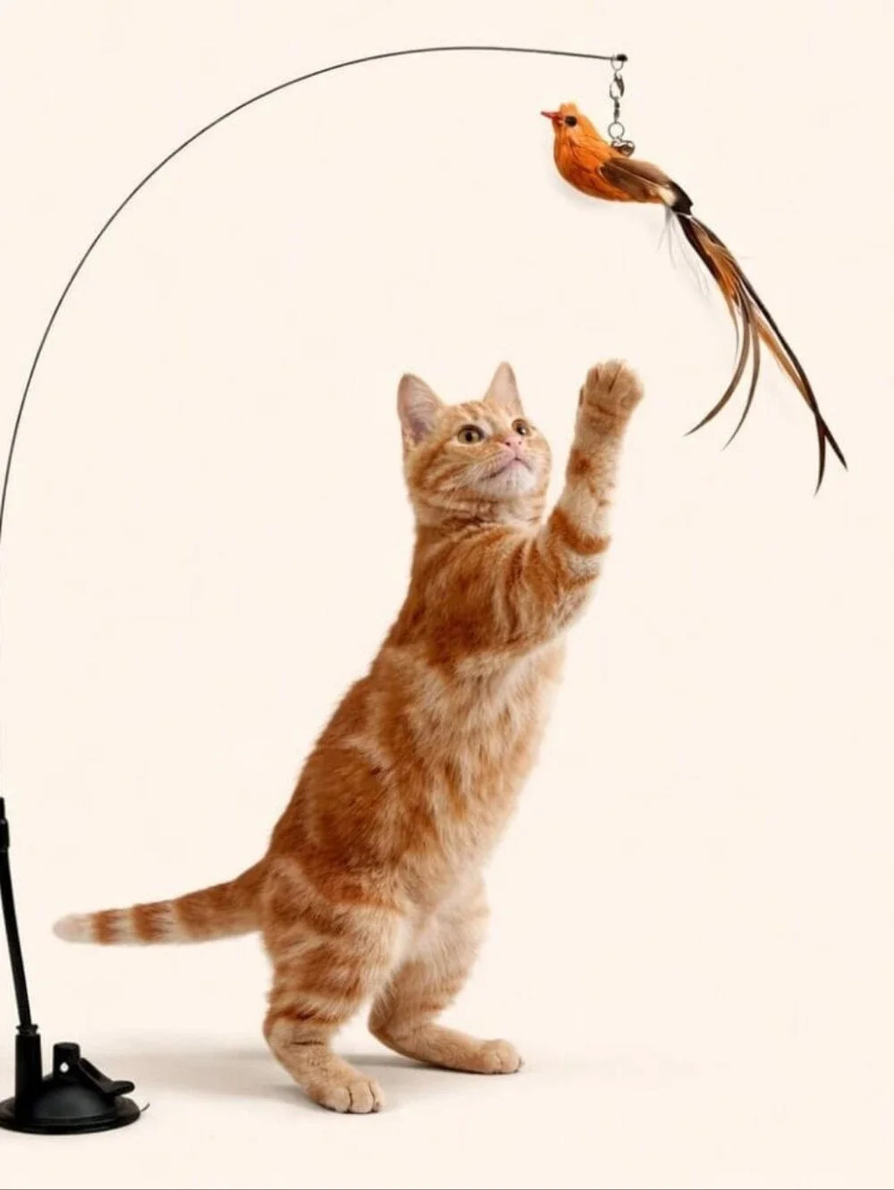 Interactive Bird Cat Toy — Triggers Natural Hunting Instinct NIP